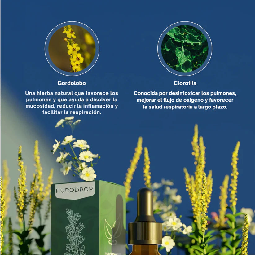 Fórmula Natural Limpia Pulmones MULLEIN, en gotas - ENVÍO GRATIS