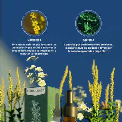 Fórmula Natural Limpia Pulmones MULLEIN, en gotas - ENVÍO GRATIS