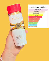 PERFUME ARABE ROUGE DAME 250 ml – Eau de Parfum de Larga Duración - ENVÍO GRATIS